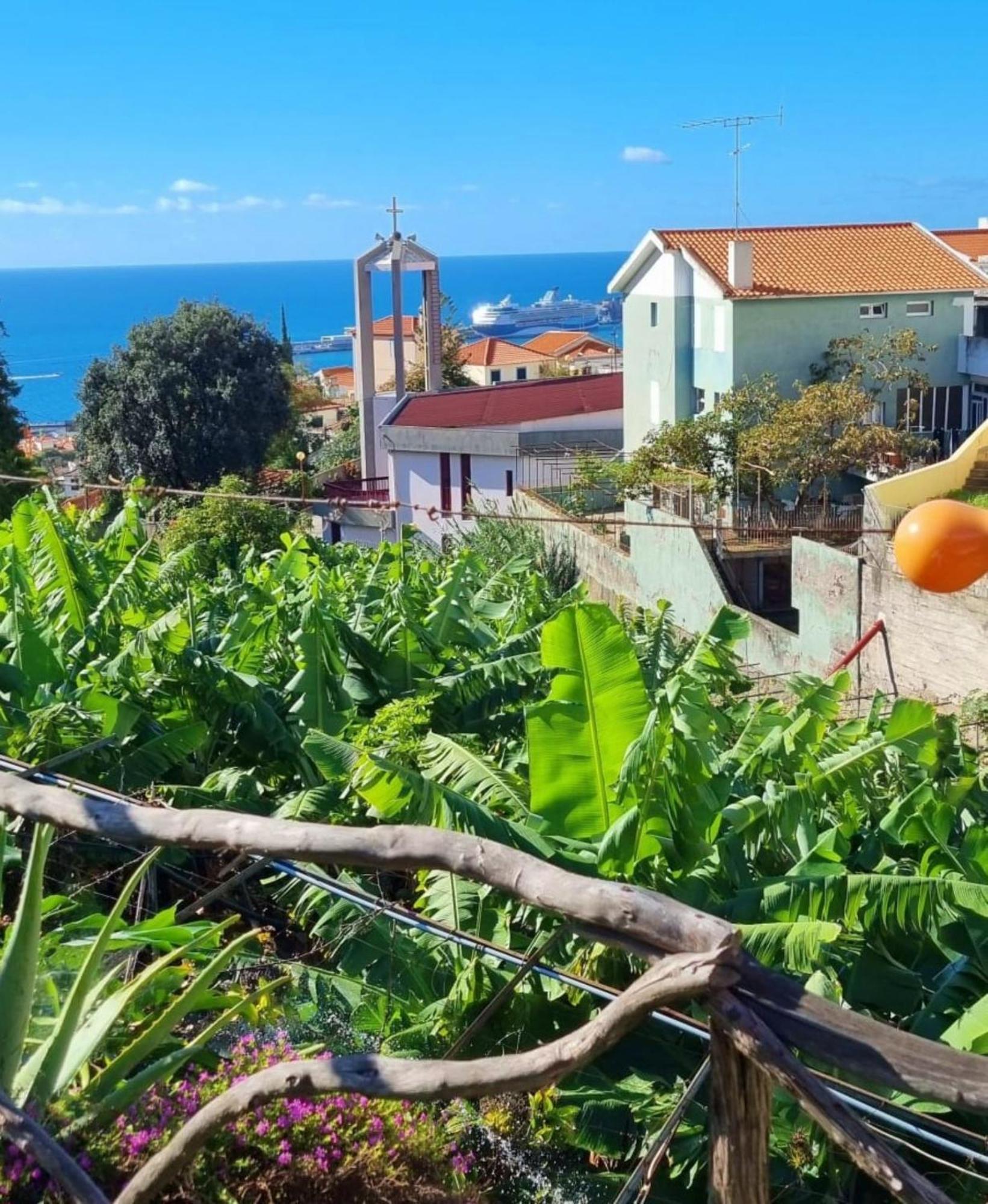 Villa Catanho Funchal  Buitenkant foto