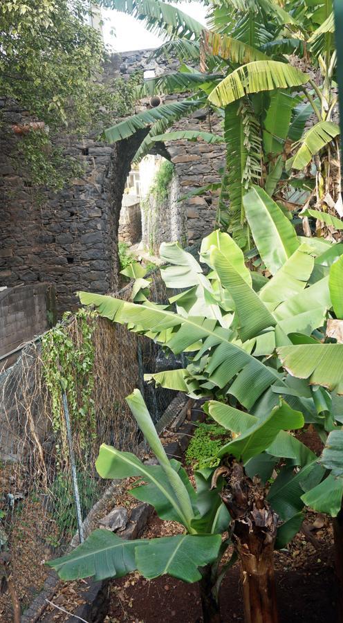 Villa Catanho Funchal  Buitenkant foto